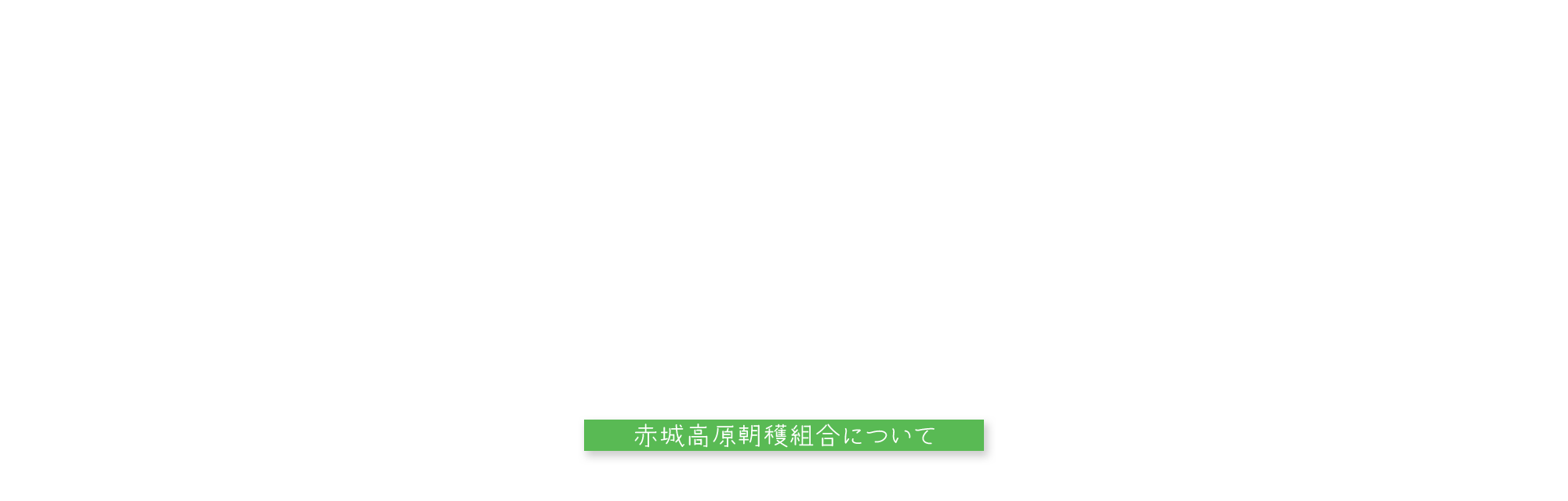 赤城高原朝穫組合について